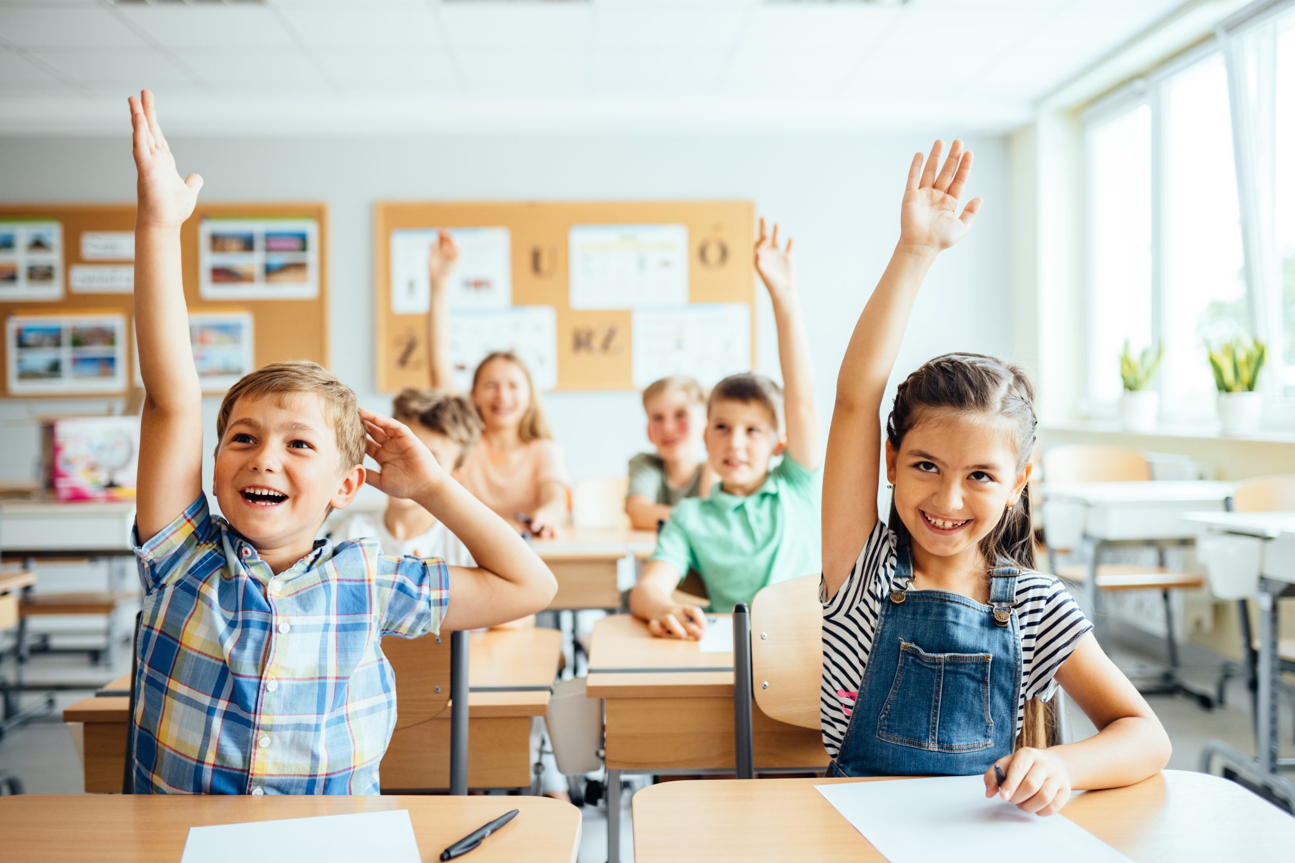 Barto Education Law Group